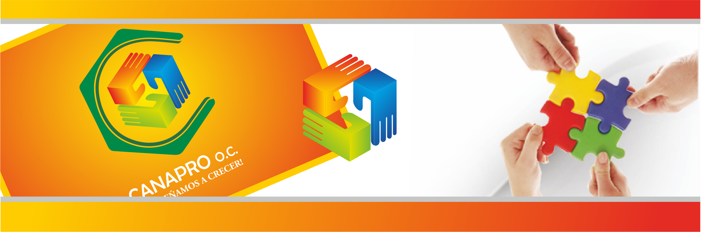 portafolio 4